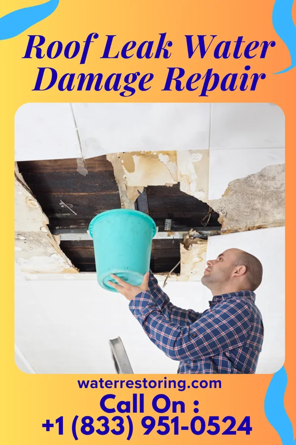 Roof Leak Water Damage Repair in Woodburn, OR